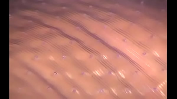 Appetizing floosy is masturbating like crazy