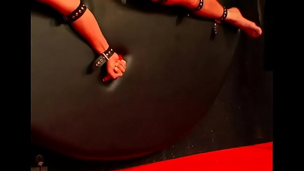 Magical Margarita begs for dangler